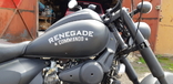 Мотоцикл круизёр SkyBike RENEGADE Commando 250, 2017 года выпуска, photo number 9