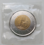 2 доллара Канада 2011 Канадская тайга, фото №2