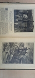 СЕВЕР., еженед. журнал. 1903 г. Годовая подписка, фото №13