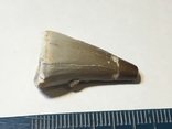 Окаменелый зуб мезозавр крейда 85 млн., фото №3