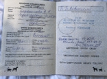 Міжнародний ветеринарний паспорт., фото №3