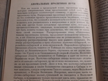 1934 Миграция птиц научно-популярный очерк, фото №5