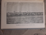 1934 Миграция птиц научно-популярный очерк, фото №8
