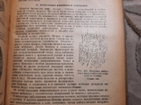 1931 Основы Макробиологии, фото №8