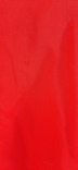 Жакет пиджак красный, фото №4