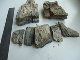 Fragments of a mammoth tooth, photo number 3