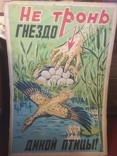 Плакат "Не тронь гнездо дикой птицы", фото №2
