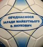 Мяч Януковича, фото №3