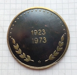 Настольная медаль 30 лет водолазам подымающим суда, фото №3