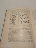 Книга "Микробиология " профессора М.В.Федорова 1963, фото №8