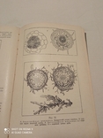 Книга "Микробиология " профессора М.В.Федорова 1963, фото №9