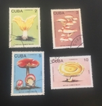 Грибы 1989 Куба 4шт., фото №2