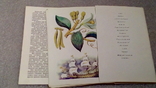 Набор открыток. Из истории пряных растений.1986 г. (Комплект), фото №5