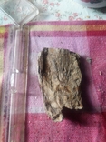 Фрагмент зуба мамонта, фото №2