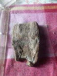 Фрагмент зуба мамонта, фото №3