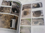 Різночасові памятки поблизу села Ратнів на Волине в 2 книгах, фото №3