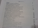 Різночасові памятки поблизу села Ратнів на Волине в 2 книгах, фото №12