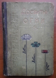 Книга Досвітні Вогні . Грінченко 1906 г, фото №2