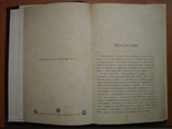 Книга Иллюстрированная всеобщая история письмен 1903, фото №7