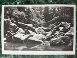 Uman.Arboretum Sofia.4pcs.1961r.T.-5t.+photo+2old clippings., photo number 7
