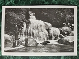 Uman.Arboretum Sofia.4pcs.1961r.T.-5t.+photo+2old clippings., photo number 9