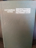 Книга дикорастущие лекарственные растения СССР, фото №2