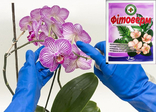 Біоінсектицид для захисту кімнатних рослин від шкідників Фітоверм 2 мл 200681, фото №3
