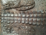 Крокодиляча сумка, Кенія, фото №5