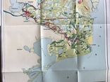 1964 Odessa region Izmail Kiliya Vilkovo Vegetation map, photo number 4