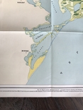1964 Odessa region Izmail Kiliya Vilkovo Vegetation map, photo number 8