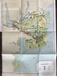 1964 Odessa region Izmail Kiliya Vilkovo Vegetation map, photo number 10
