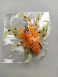 Приманка павук, photo number 2