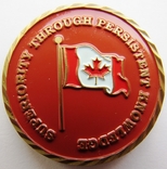Канада, медаль волонтеров "Троица" 1985 г., numer zdjęcia 3