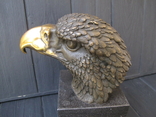 Голова орла . Орел Бронза . Бронзовая статуэтка Milo, фото №11