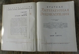 Краткая литературная энциклопедия (1, 2, 3 том), фото №5