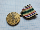 Southwest Asia Service Medal, фото №5