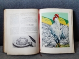 Книга о вкусной и здоровой пище 1954 г., фото №9