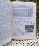 Олімпійський вид спорту в 2-х томах., фото №5