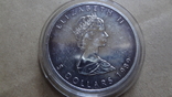 5 долларов 1989 Канада серебро унция 999, фото №4