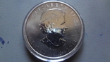 5 долларов 2011 Канада Волк унция серебро (О.2.21), фото №3