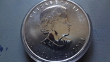 5 долларов 2011 Канада Волк унция серебро (О.2.21), фото №5