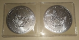 Инвестиционный доллар США Американский орел (тип 1), серебро 1 унция, photo number 4