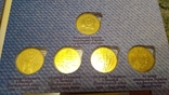 Полная коллекция монет одна гривна в новом альбоме 10 фактов о гривне, фото №5