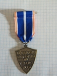 Медаль Словения 1939 копия, фото №3