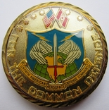 США, медаль "NORAD общая оборона США и Канады", фото №4