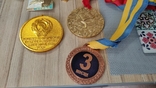 Большая Коллекция медалей Тренера по плаванию и водному поло (ссср), фото №6
