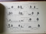 Альбом проектов Сельского и Колхозного строительства 1953 г, фото №6