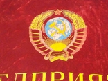 Знамя СССР (бархат, вышивка)., фото №5
