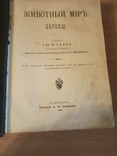 В. Гааке. Животный мир. В 3-х томах. 1901 год., фото №8