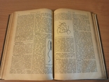 Новый энциклопедический словарь 1916 год., фото №12